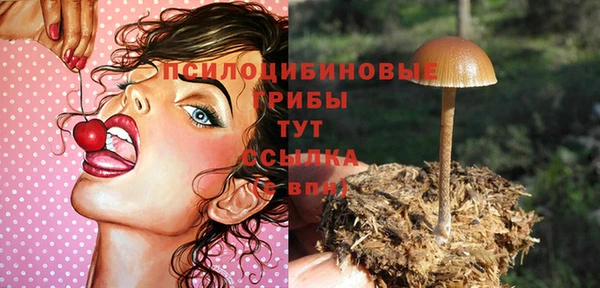 дмт Алексин