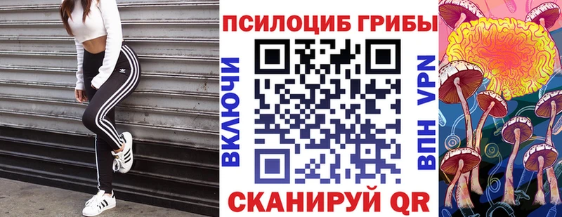 цены   Лянтор  Галлюциногенные грибы Cubensis 